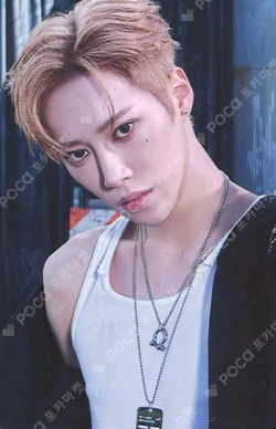 EUPHORIA RANDOM TRADING PHOTO CARD SET (FREAK ALARM ver.)