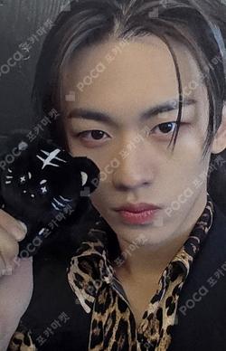 82MAJOR 5th CONCERT [BEBEOM : BE THE TIGER] BUMBUCKi PHOTOCARD HOLDER Park Seok Joon photocard image