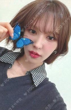 Cerulean Verge MAKESTAR WENDY photocard image