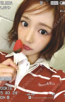 TELECA COLLECTION CARD 2025 K-POP ROOKIE RARE JIYU photocard image