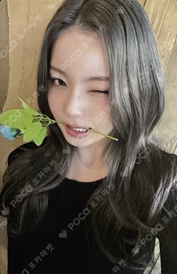 Blue Valentine K-MONSTAR WINNER