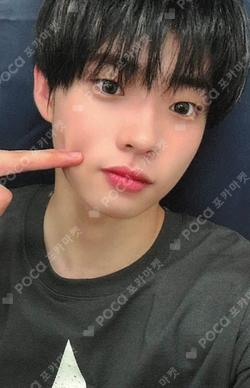 MY PRIDE EVERLINE SHINYECHAN photocard image