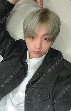 MY PRIDE Starlike Music CHOIWOOJIN photocard image