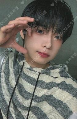 MY PRIDE DEAR MY MUSE SHINYECHAN photocard image