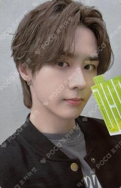 OFFICIAL FANLIGHT