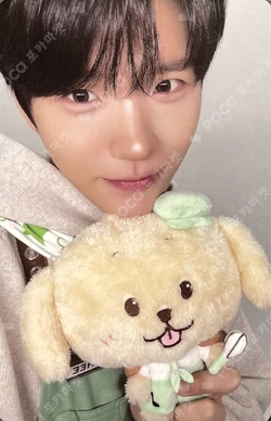 NCT WISH POP UP [WISH BAKERY] RANDOM PATISSIER CARD SET JAEHEE photocard image