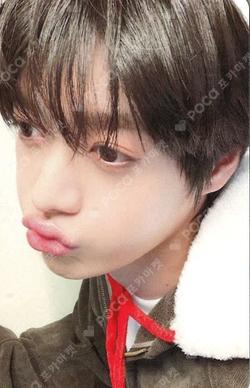 LOST APPLEMUSIC Yuma photocard image