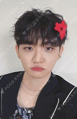 Sunflower DEAR MY MUSE CHOWONSANG photocard image