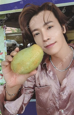 DongHae’s Vacation DONGHAE photocard image