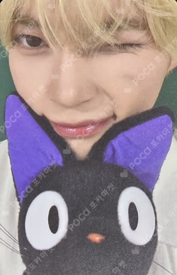 NEVER SAY NEVER FANME SUNG HANBIN photocard image