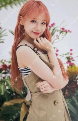 Buenos Aires Random Photocard