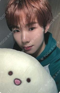 Cut-Out DEAR MY MUSE WONJUN photocard image