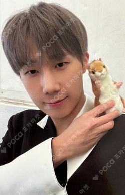 13egin KimSungKyu photocard image