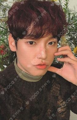 Crossfade: covered ver. INSEONG photocard image