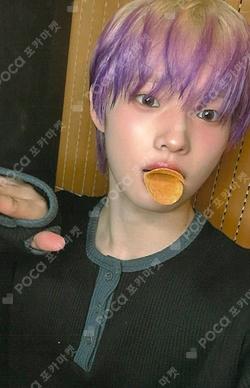 FLEX LINE Rising Star SHINYECHAN photocard image