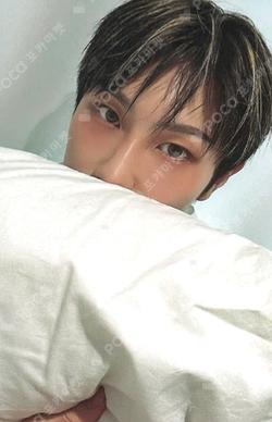 PHOTOBOOK [TNX Pages]