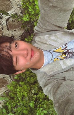 Rise & Shine Ever Ver.