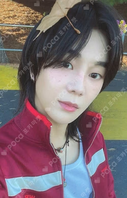 PHOTOBOOK [TNX Pages]