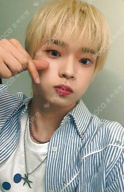 FLEX LINE DEAR MY MUSE SHINYECHAN photocard image