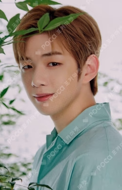 mernel KANG DANIEL photocard image