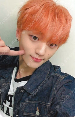 FLEX LINE DEAR MY MUSE