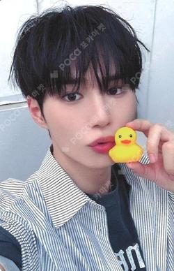 EUPHORIA MAKESTAR JUNSEO photocard image