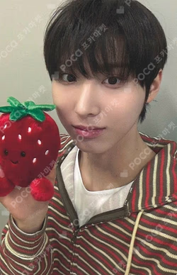 My First Flip K-MONSTAR