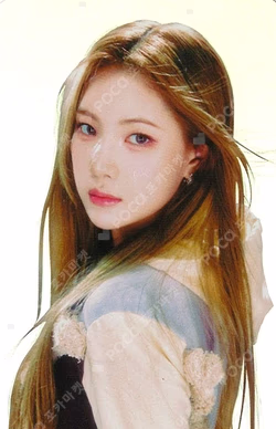 The Chase POSTCARD + HOLOGRAM PHOTO CARD SET