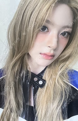 STAY ALIVE LIMITED Seeun photocard image