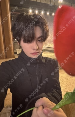 EUPHORIA BROADCAST LEO photocard image