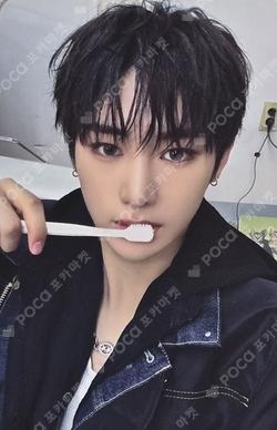 EUPHORIA MUSICPLANT ANXIN photocard image