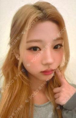 FOCUS APPLEMUSIC Stella photocard image