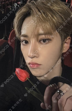 EUPHORIA BROADCAST ARNO photocard image