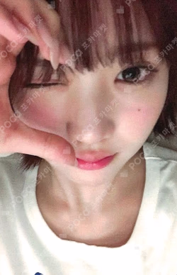 FOCUS Hellolive shop JIWOO photocard image