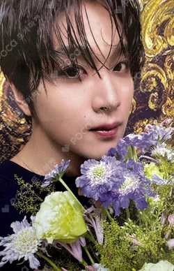 TASTE RANDOM TRADING CARD SET HAECHAN photocard image