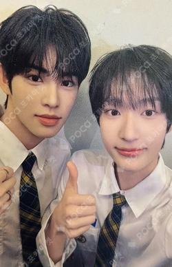 TELECA COLLECTION CARD 2025 K-POP ROOKIE PROMOTIONAL CARD Unit photocard image