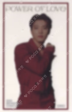 SEVENTEEN CONCERT POWER OF LOVE INSTANT PHOTO CARD SET DINO photocard image