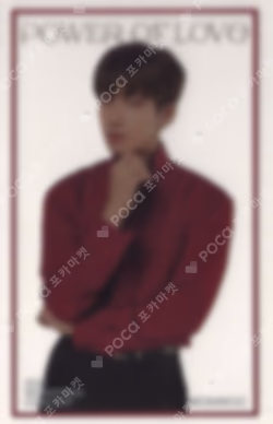 SEVENTEEN CONCERT POWER OF LOVE INSTANT PHOTO CARD SET WONWOO photocard image