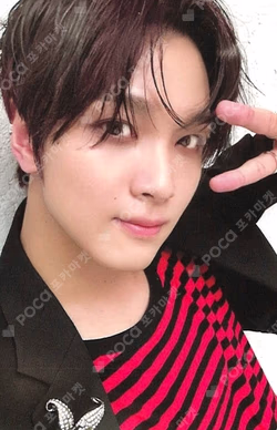 TASTE RANDOM TRADING CARD SET HAECHAN photocard image