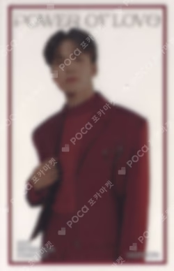 SEVENTEEN CONCERT POWER OF LOVE INSTANT PHOTO CARD SET VERNON photocard image