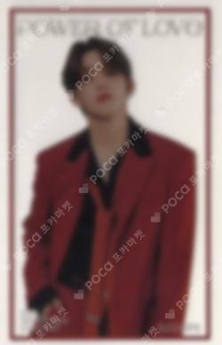 SEVENTEEN CONCERT POWER OF LOVE INSTANT PHOTO CARD SET