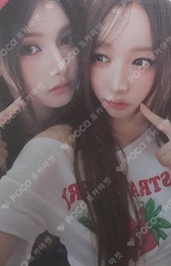 iLy ARAISE Unit photocard image