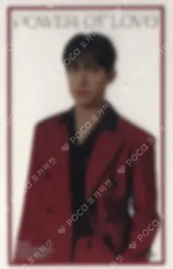 SEVENTEEN CONCERT POWER OF LOVE INSTANT PHOTO CARD SET