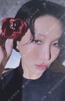 HWASA 2026 SEASON’S GREETINGS [MAR IA] EVERLINE
