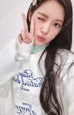 LILY BROWN YUHA photocard image