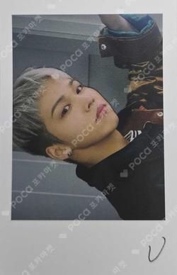 WE MUST LOVE POLAROID SET