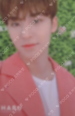 SEVENTEEN 2019 JAPAN TOUR 'HARU' TRADING CARD