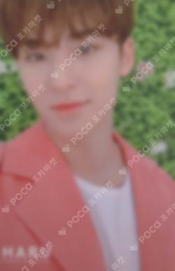 SEVENTEEN 2019 JAPAN TOUR 'HARU' TRADING CARD MINGYU photocard image