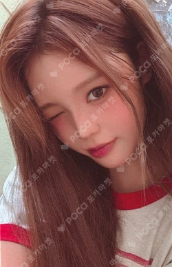 Not Just Pretty RANDOM TRADING PHOTOCARD Jeong Sae Bi photocard image