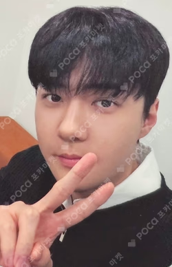 REVERXE BEATROAD SEHUN photocard image